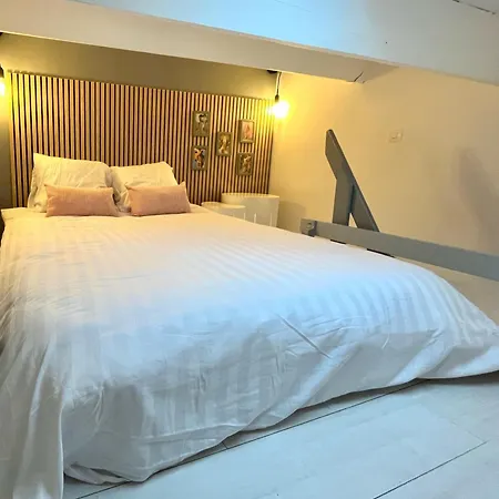 Znaturiste Cap D'agde Port Soleil 478 דירה *